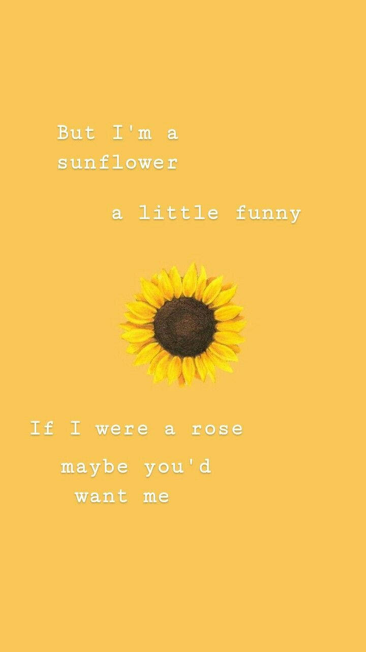 sunflower, yellow background, white text, HD Phone Wallpaper