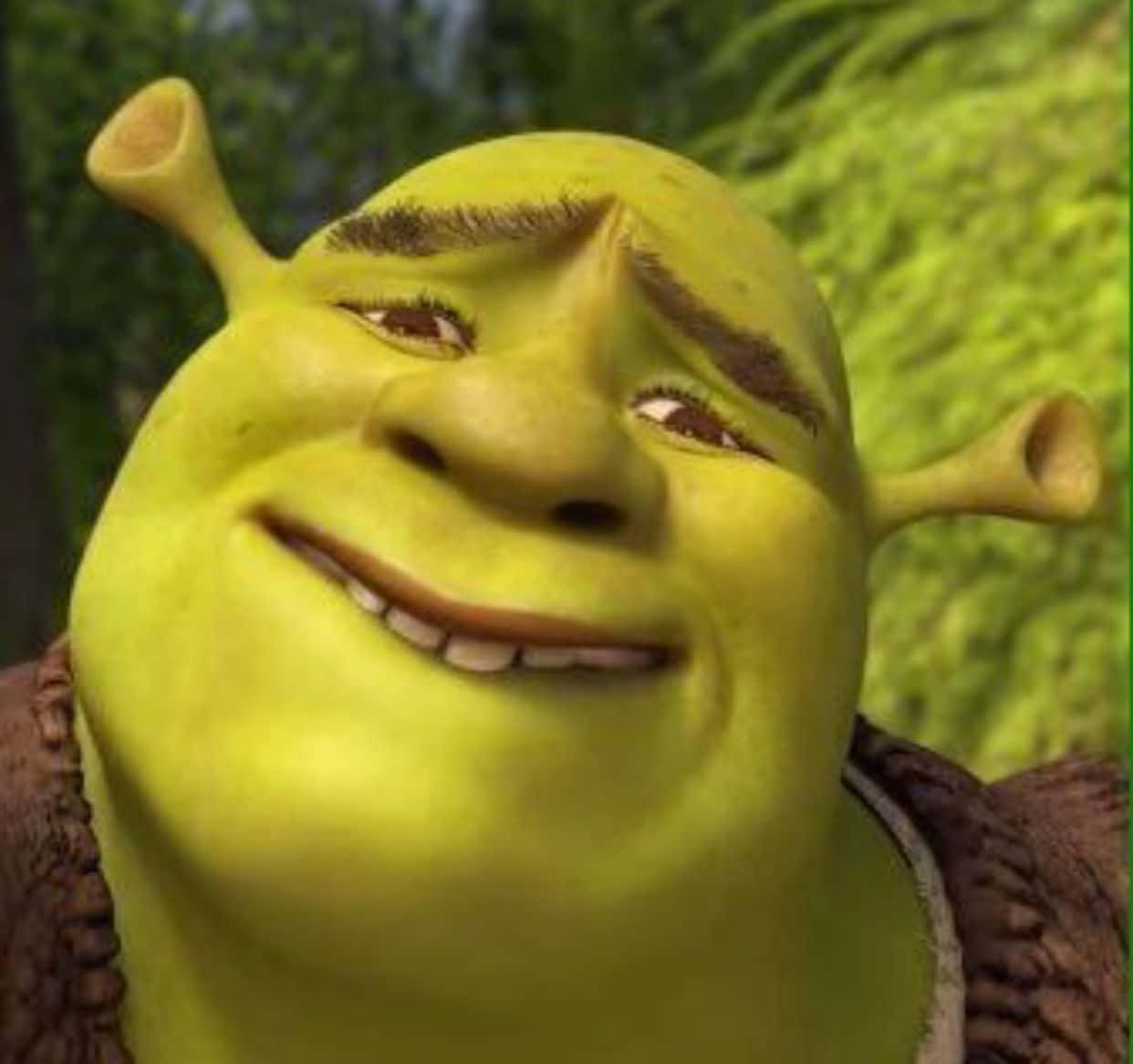 Shrek, green skin, pointed ears, SD Desktop Wallpaper