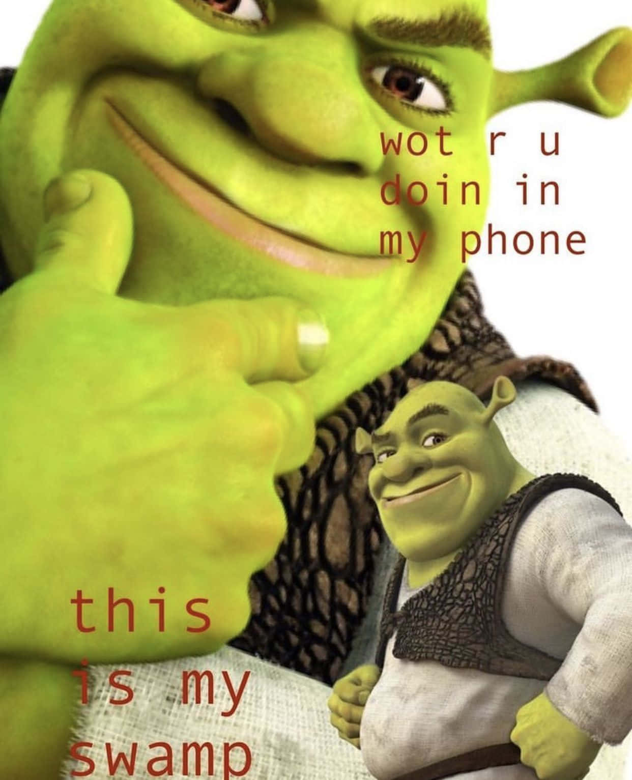 Shrek, swamp, phone, HD Phone Wallpaper