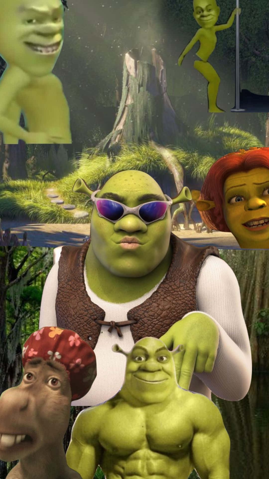 Shrek, character collage, forest backdrops, Full HD Phone Wallpaper