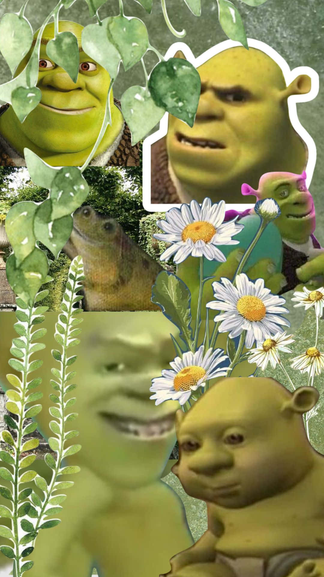 Shrek, green leaves, white daisies, Full HD Phone Wallpaper