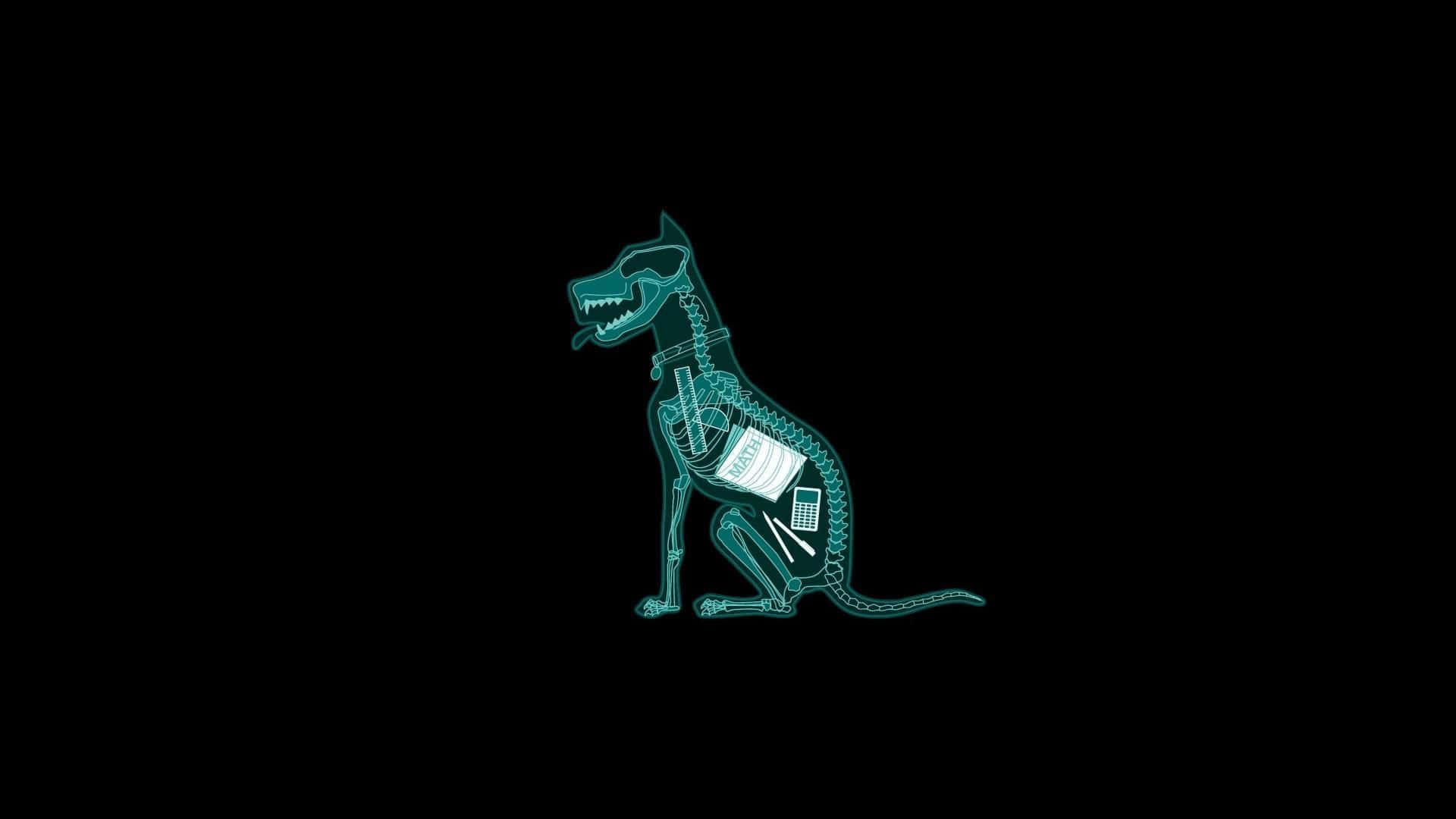 teal, x-ray style, dog skeleton, Full HD Desktop Wallpaper
