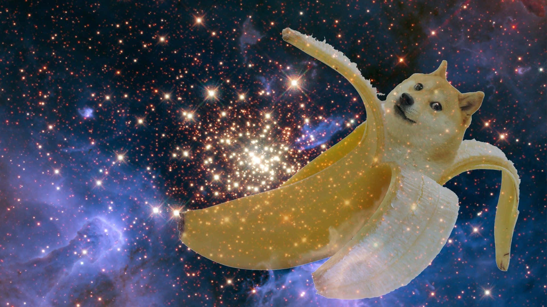 Doge meme dog, banana peel, vibrant starfield nebula, Full HD Desktop Wallpaper