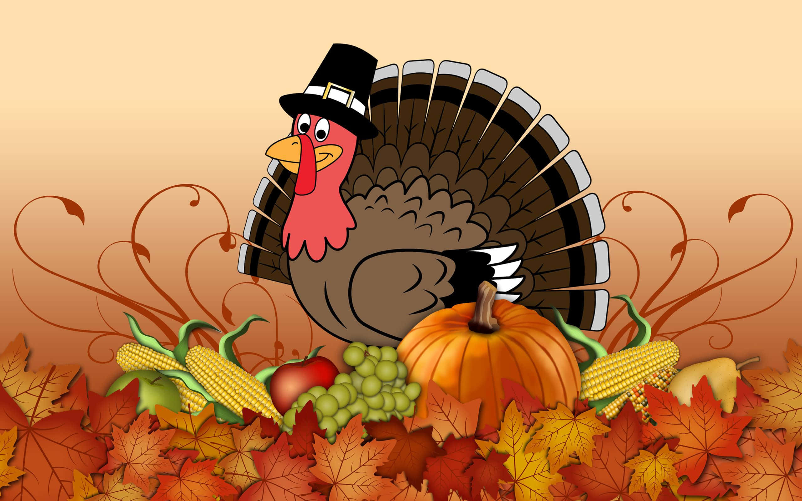 cartoon turkey, pilgrim hat, pumpkins, 2K Desktop Wallpaper
