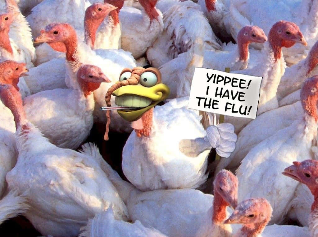 cartoon turkey, thermometer in its mouth, sign reading yippee i have the flu, SD Desktop Wallpaper