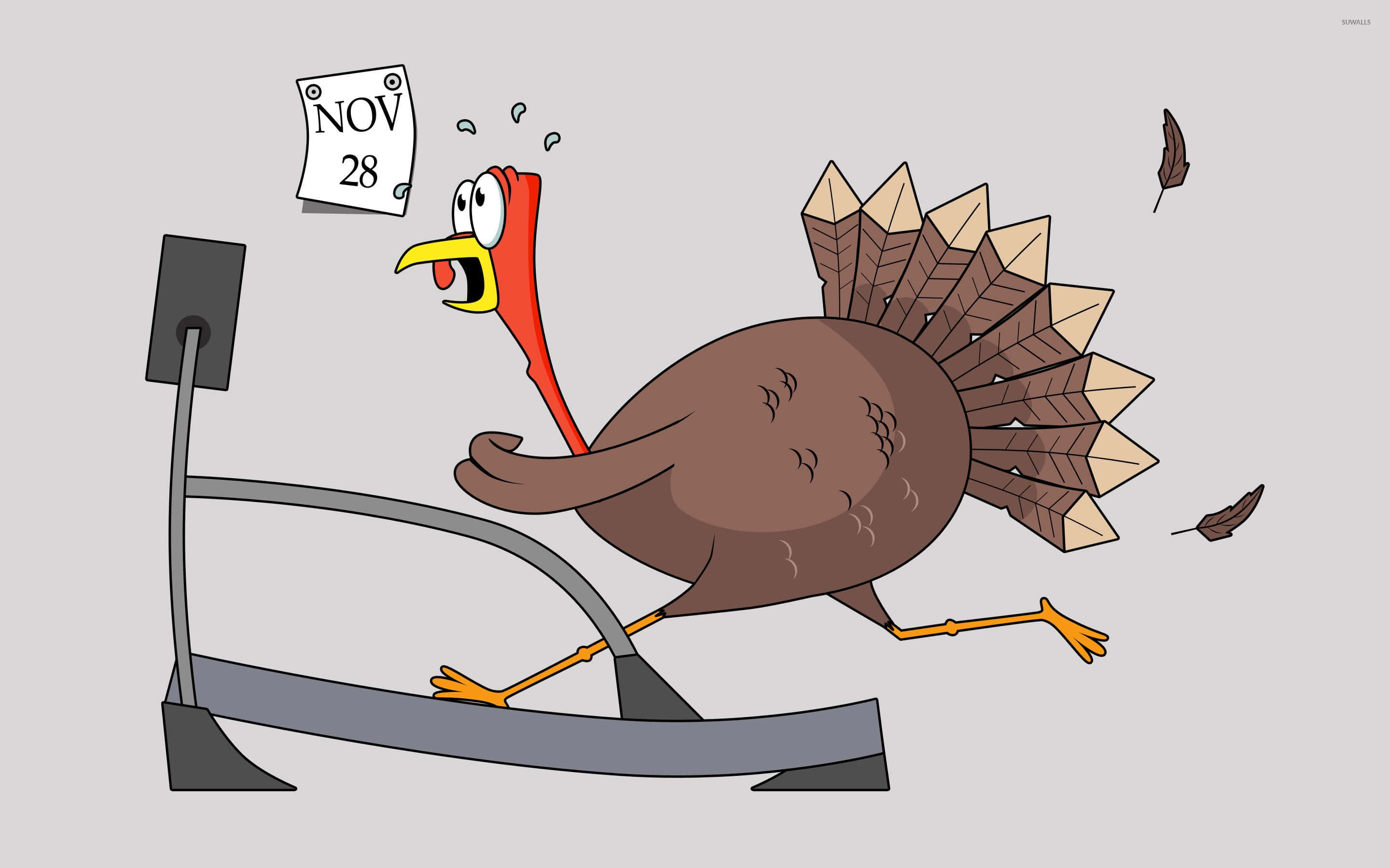 Funny Thanksgiving, turkey, treadmill, 2K Desktop Wallpaper