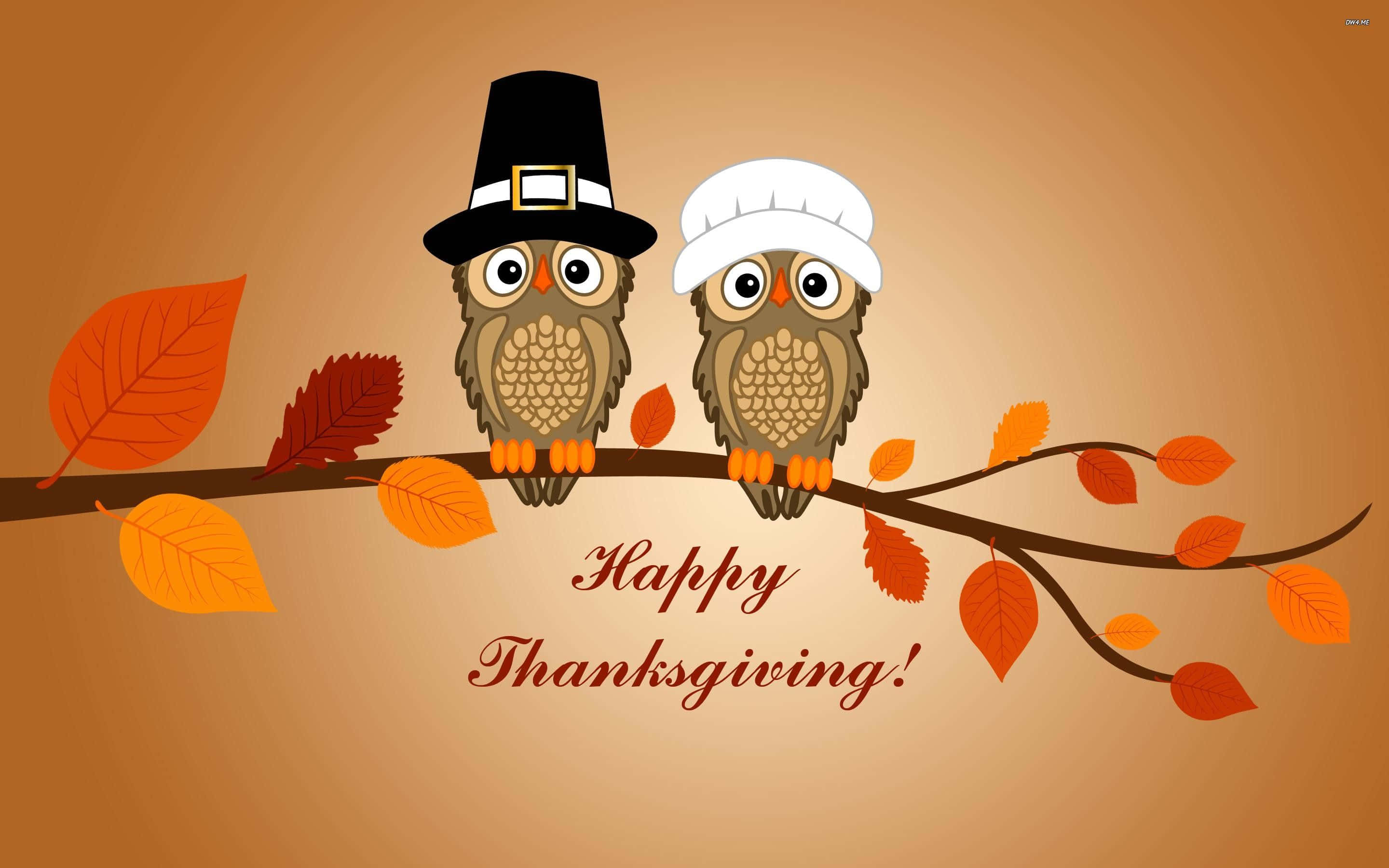 cartoon owls, pilgrim hats, autumn leaves, 2K Desktop Wallpaper