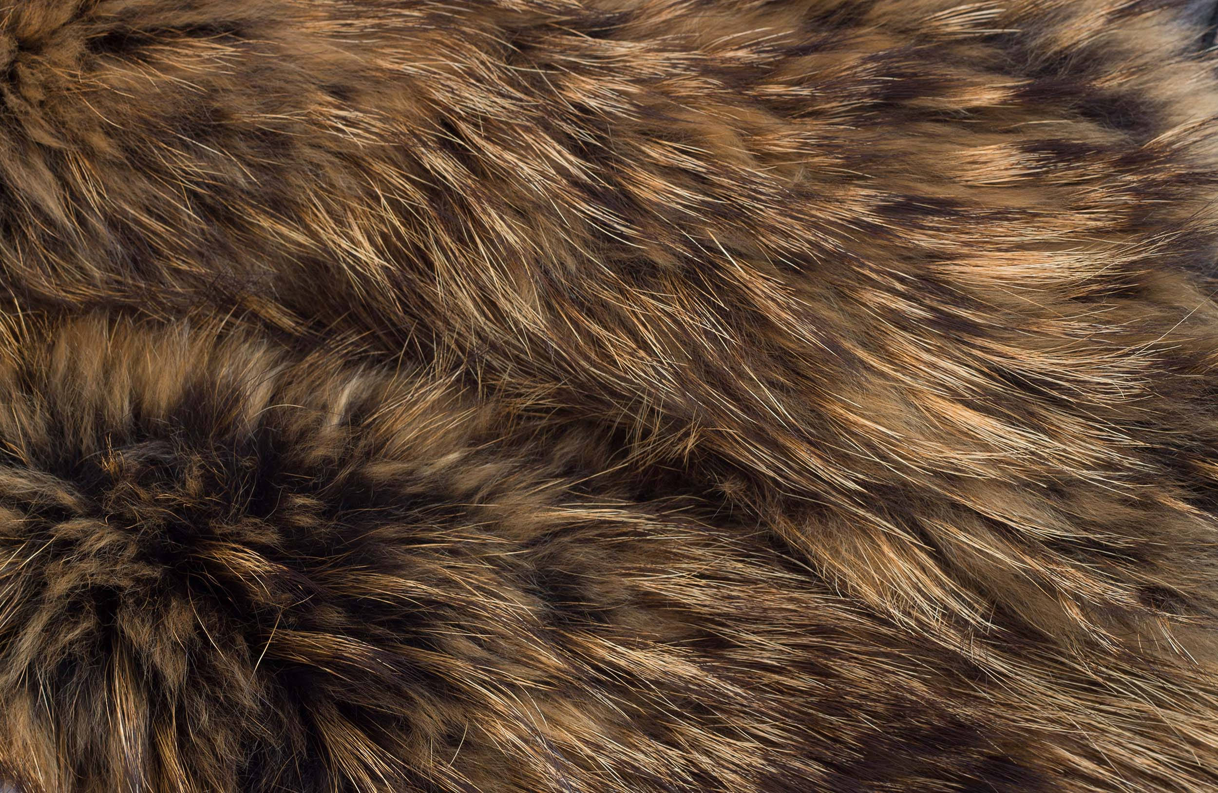 brownish gray, brown, black, Full HD Desktop Wallpaper
