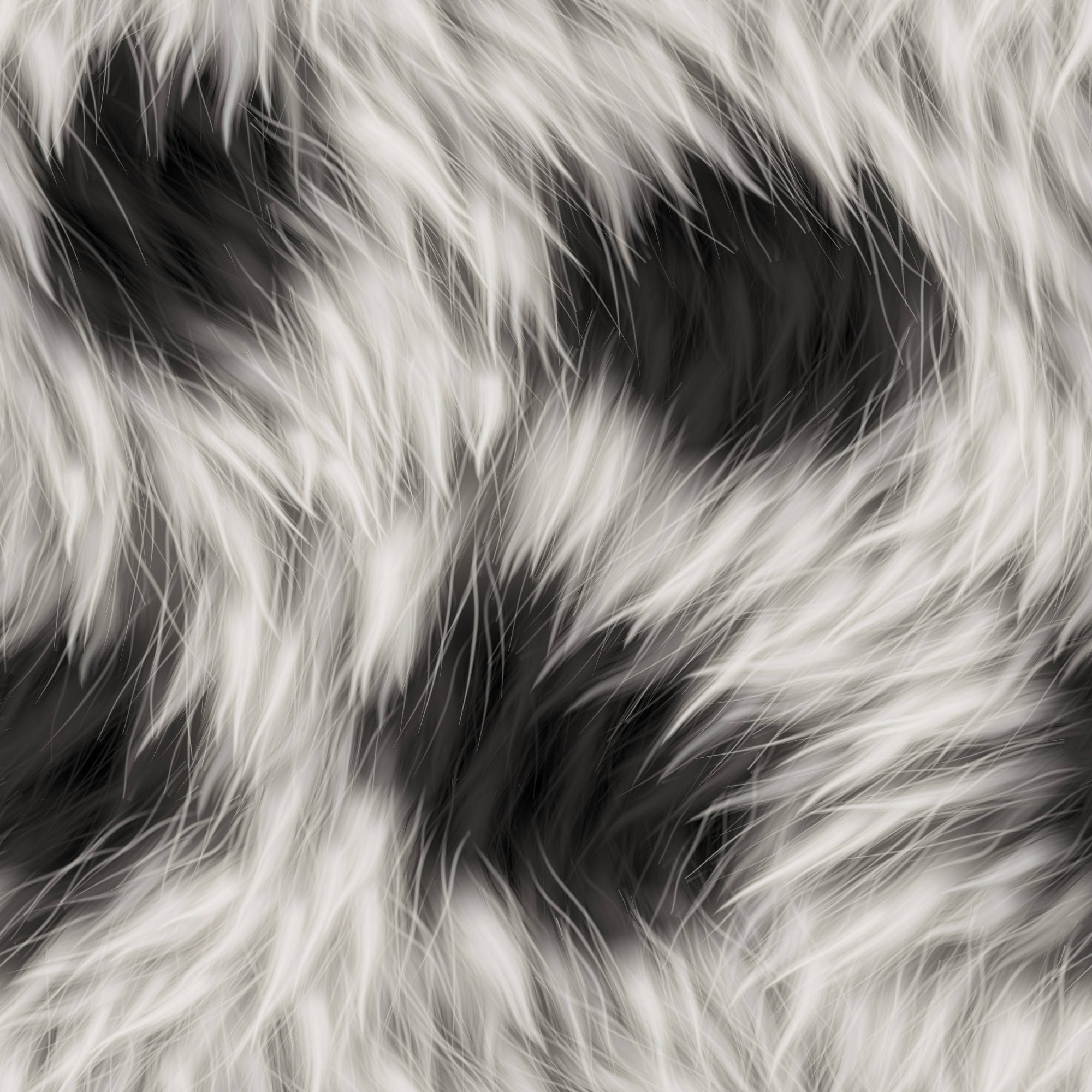 black and white fur, swirling fur, soft highlights, Full HD Desktop Wallpaper