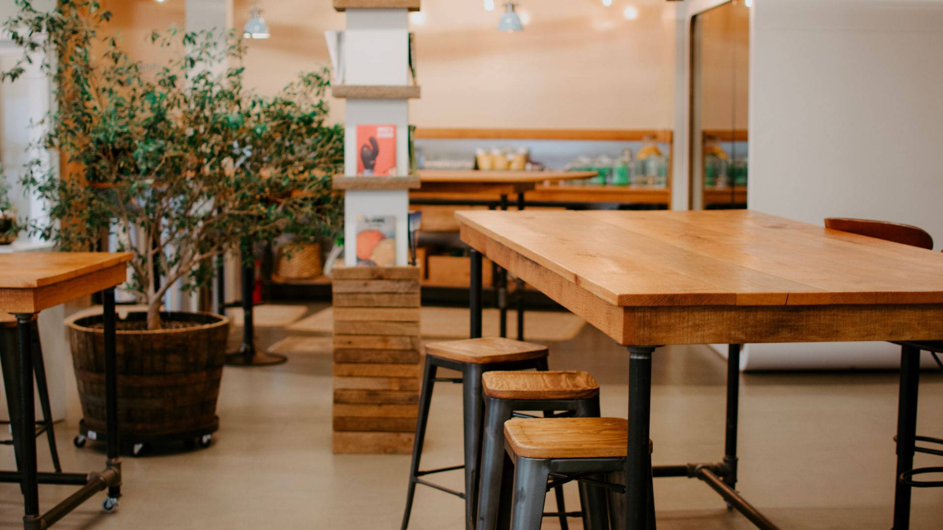 wooden antique style furniture, cozy café, potted plants, Full HD Desktop Wallpaper