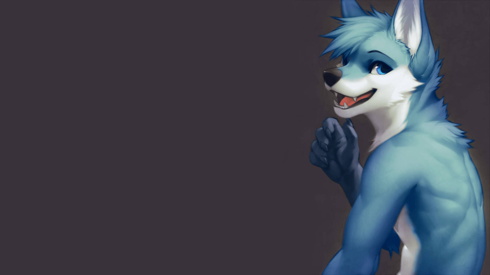 furry, ice blue, male wolf, HD Desktop Wallpaper