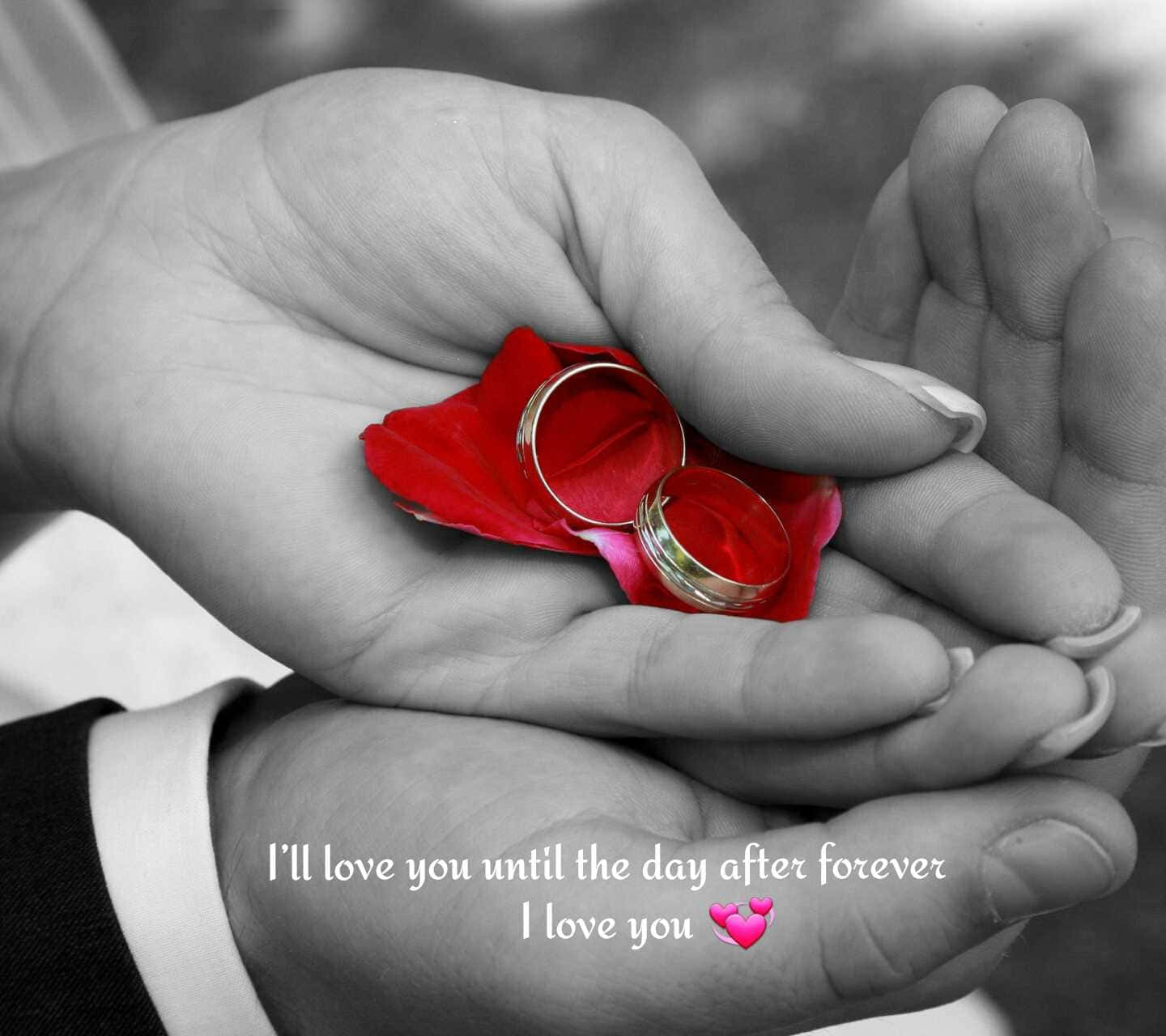 Forever Desktop, wedding rings, vibrant red rose petal, HD Desktop Wallpaper