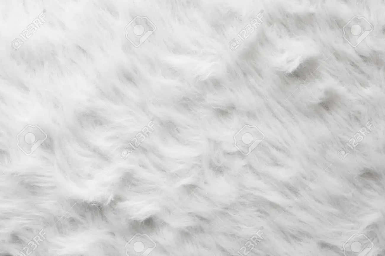 fuzzy, white fabric, soft fluffy white fur texture, HD Desktop Wallpaper
