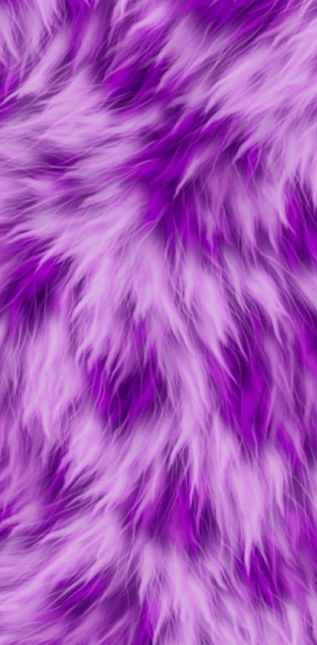 fuzzy, violet, white, HD Phone Wallpaper