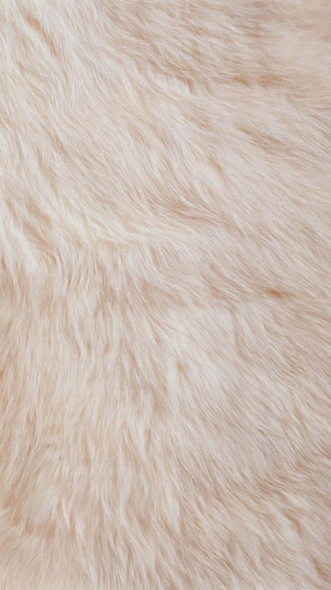 fuzzy, off white, faux fur, Full HD Phone Wallpaper