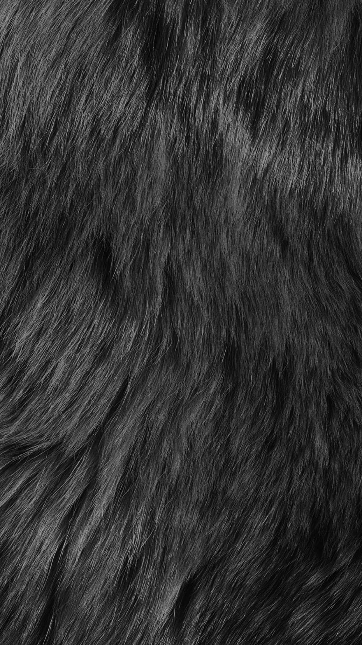 fuzzy, wavy hair, dense dark gray fur, Full HD Phone Wallpaper