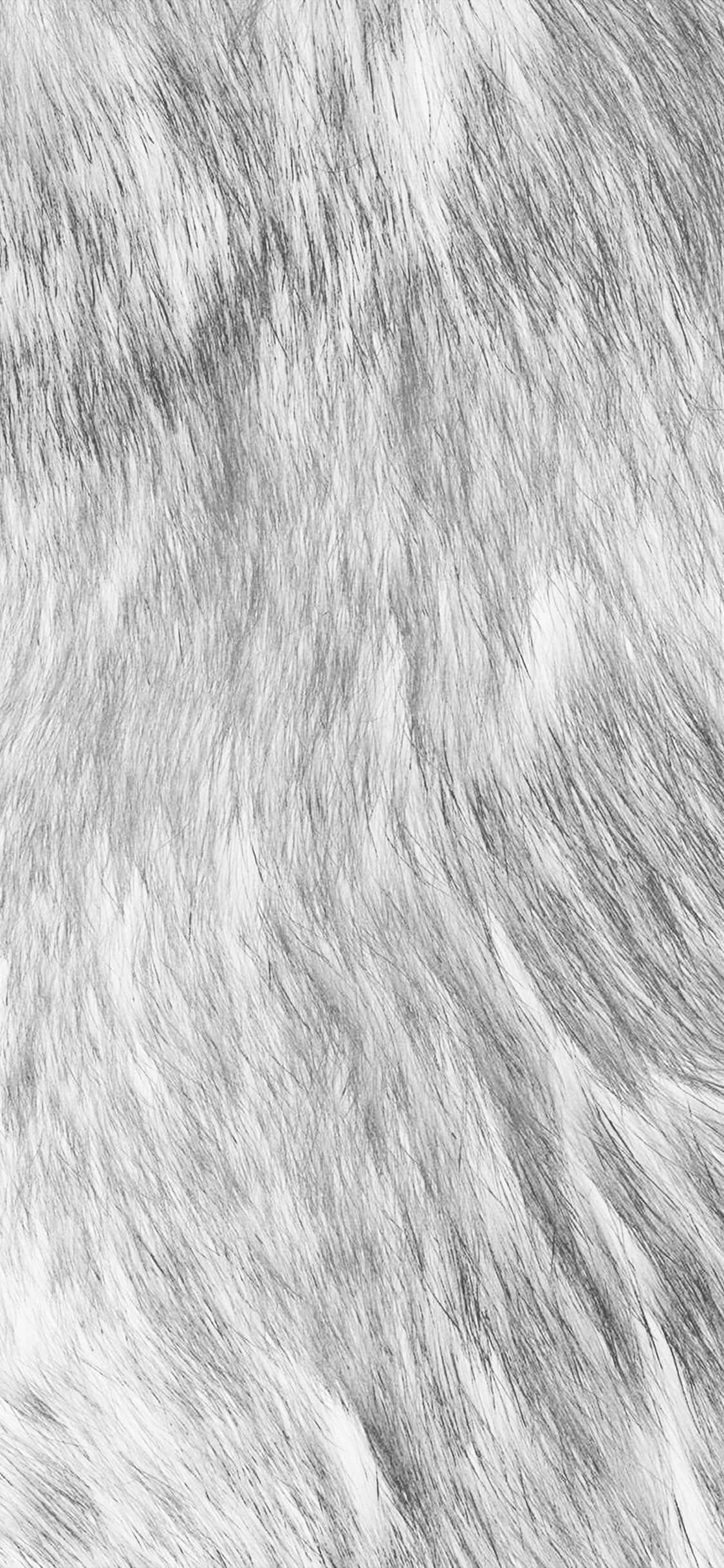 fuzzy, gray fur, white fur, Full HD Phone Wallpaper