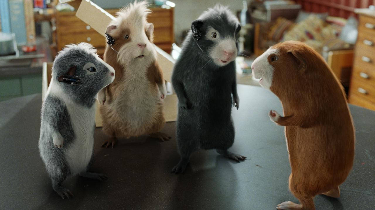 G Force, guinea pigs, tiny headsets, HD Desktop Wallpaper