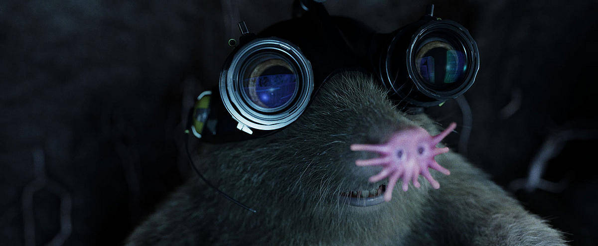 G Force, speckles, pink star-shaped nose, SD Desktop Wallpaper