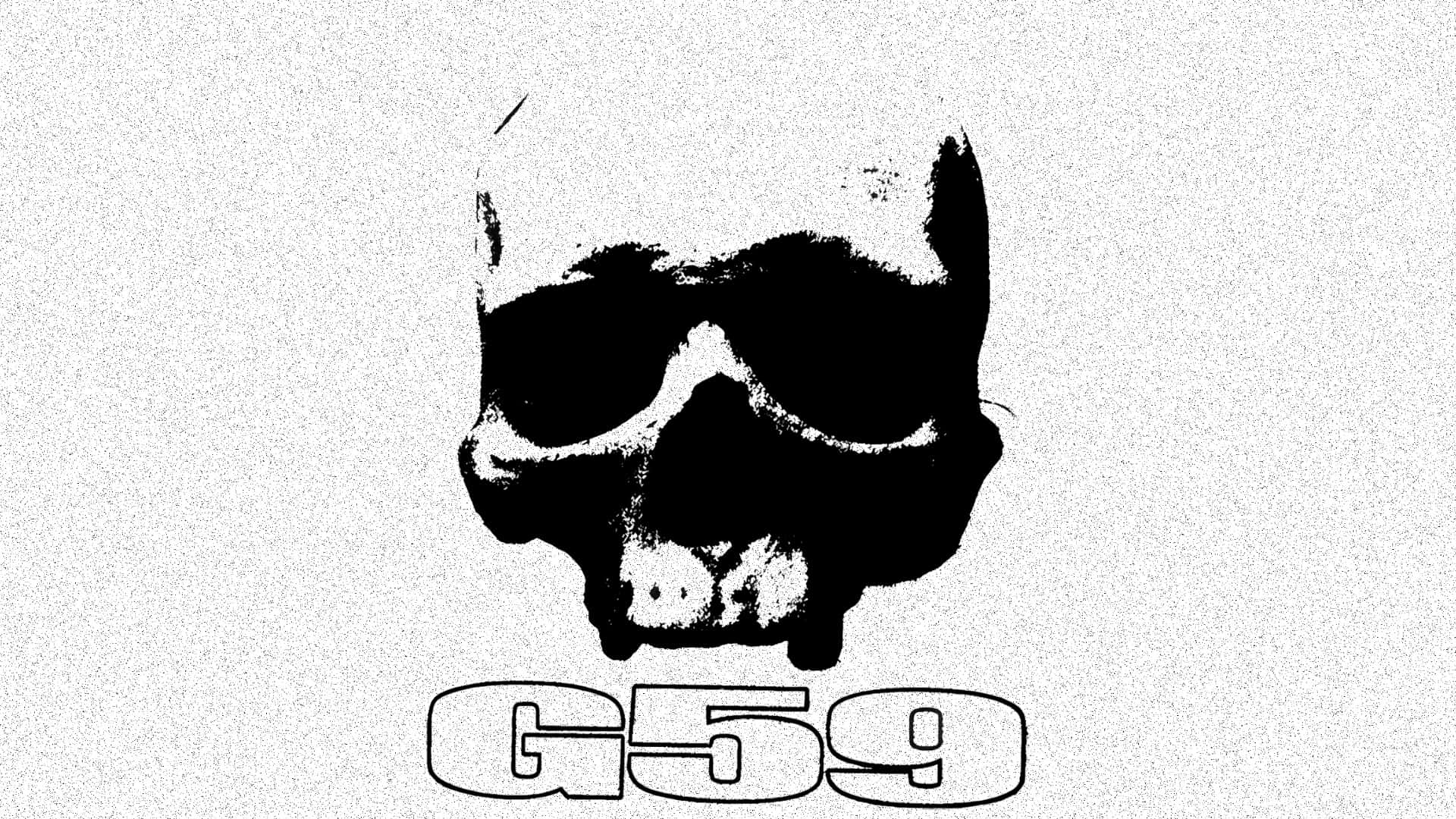 G59, skull graphic, sunglasses, Full HD Desktop Wallpaper