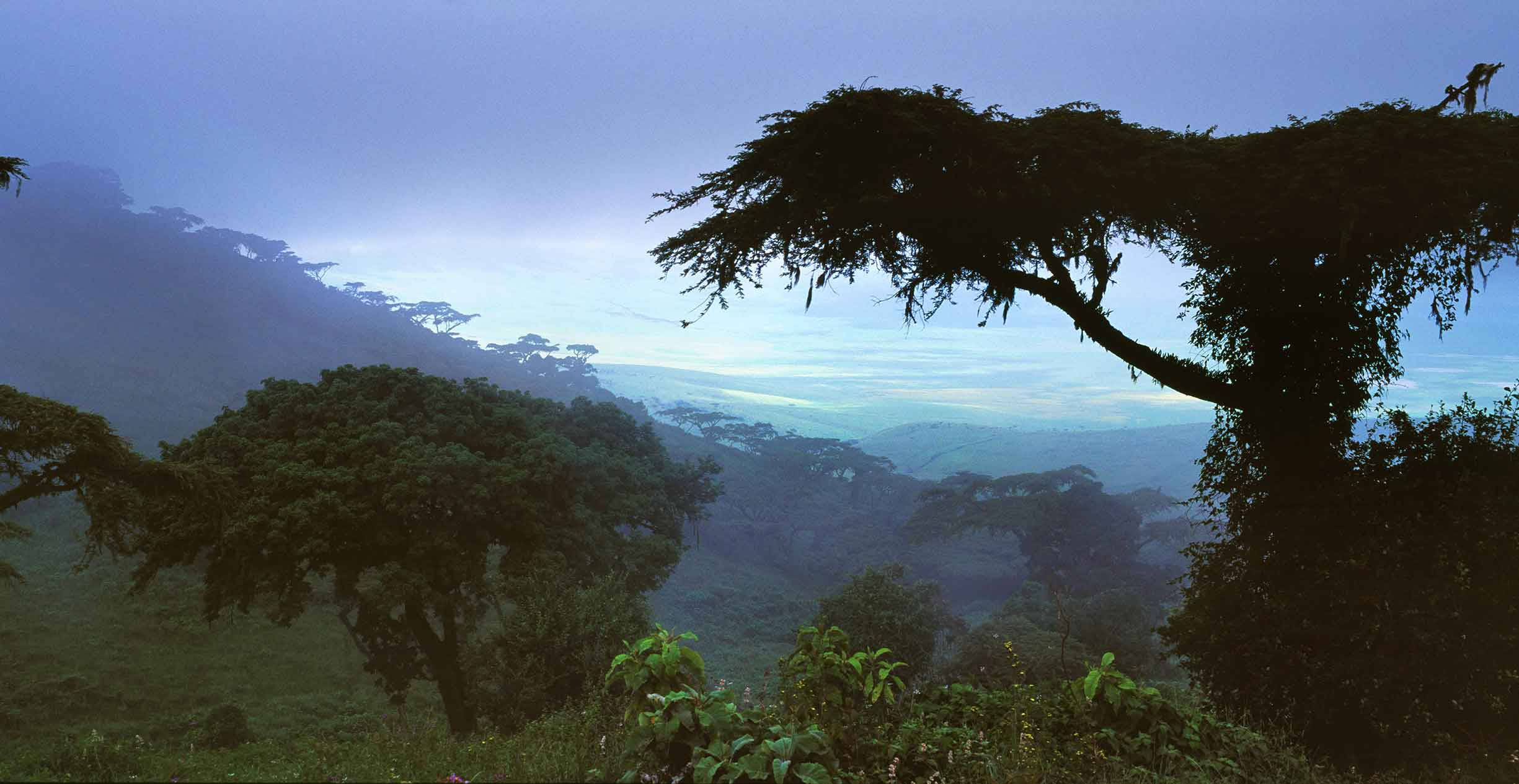 Gabon, misty mountain valley, silhouetted trees, Full HD Desktop Wallpaper