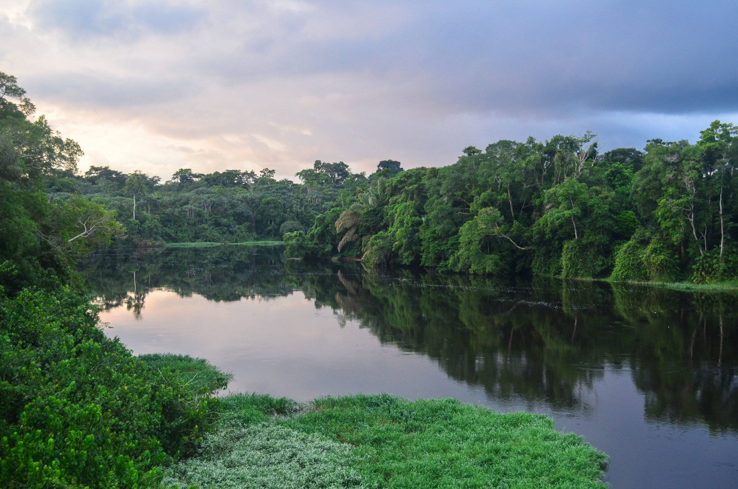 peaceful river, Gabon, dense green jungle, Full HD Desktop Wallpaper