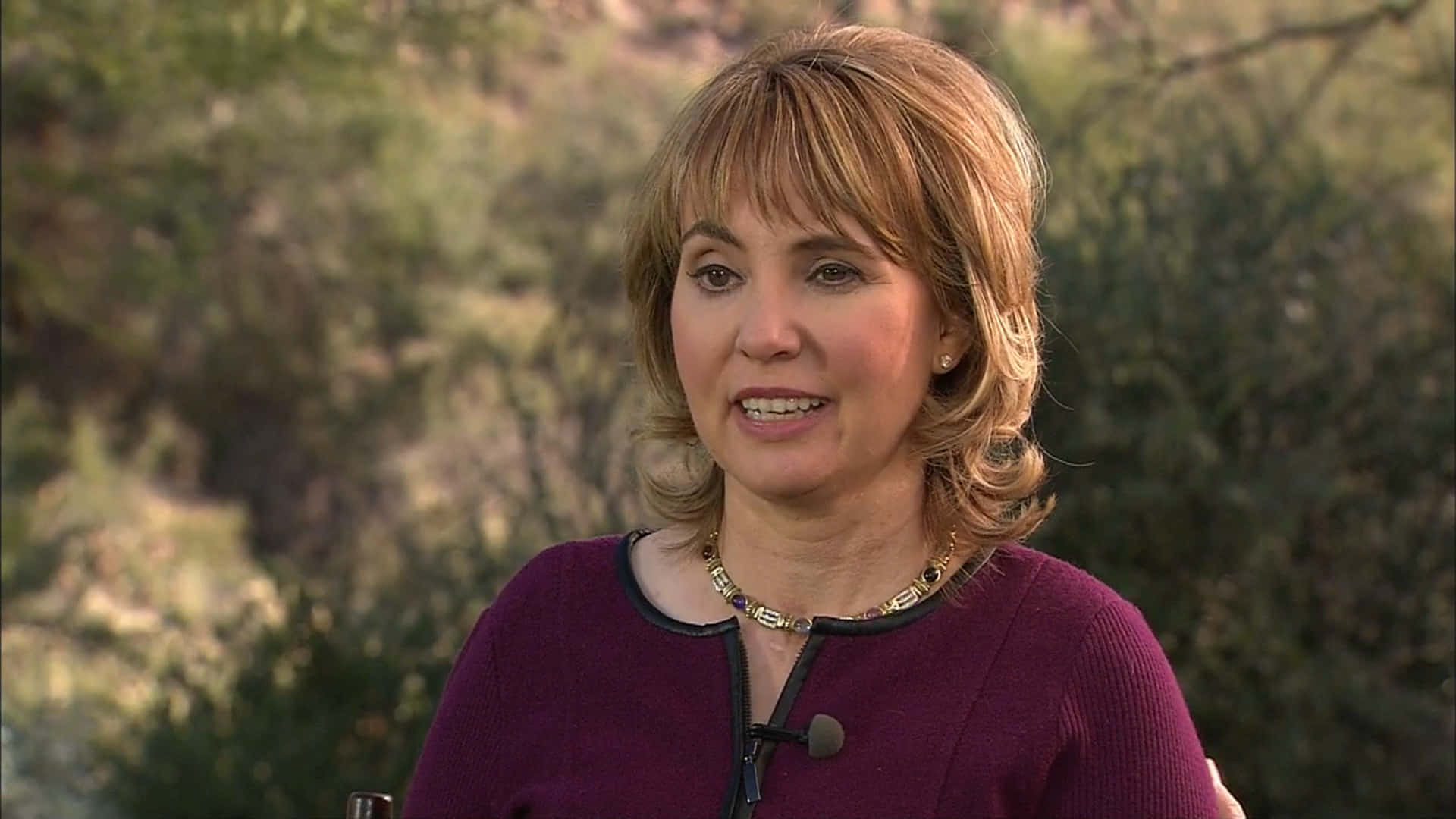 Gabrielle Giffords, blonde hair, purple sweater, Full HD Desktop Wallpaper