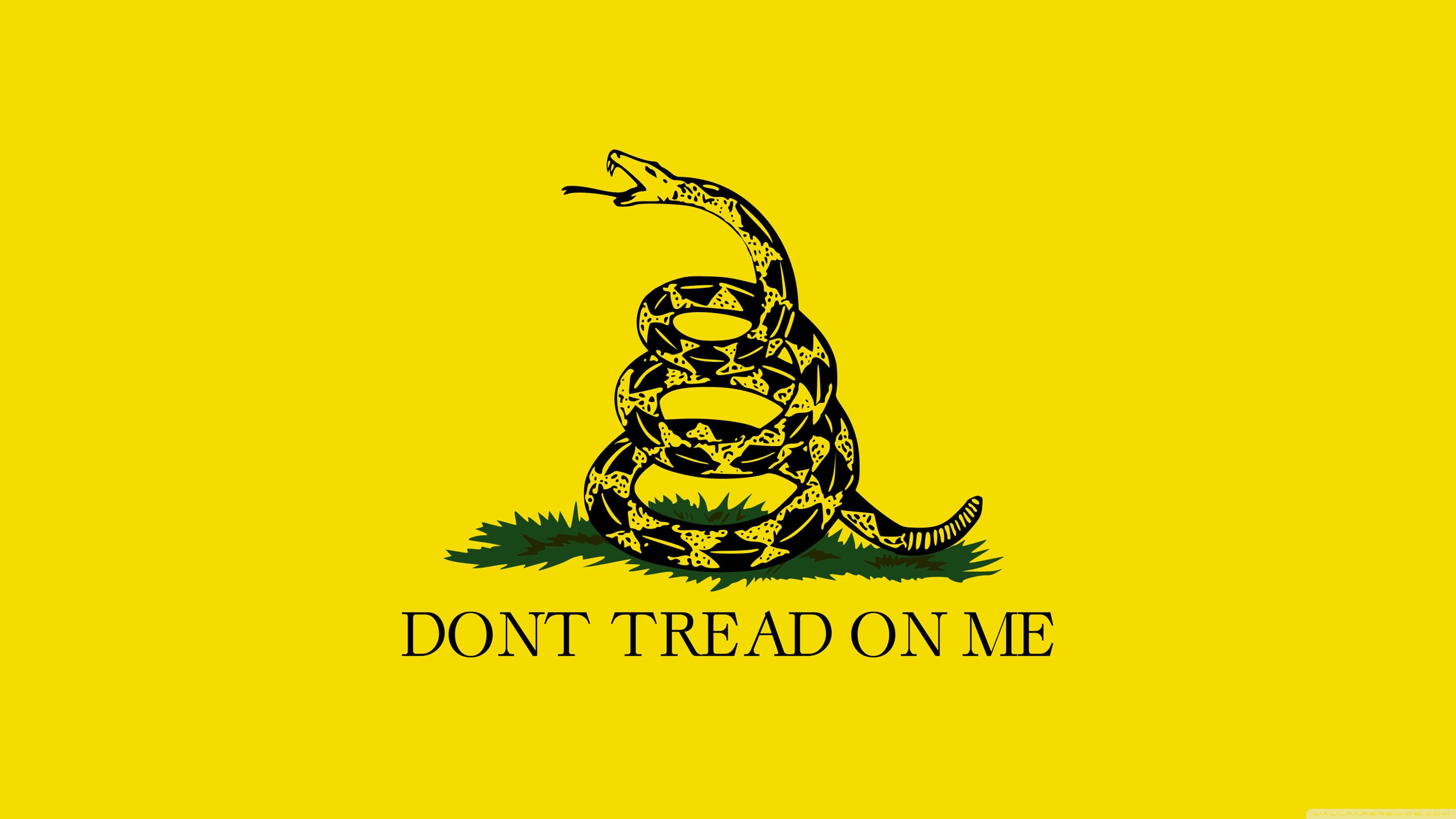 Gadsden Flag, yellow canvas, black rattlesnake, 4K Desktop Wallpaper