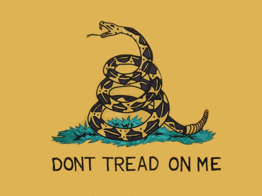 Gadsden Flag, rattlesnake, black and yellow patterned scales, SD Desktop Wallpaper