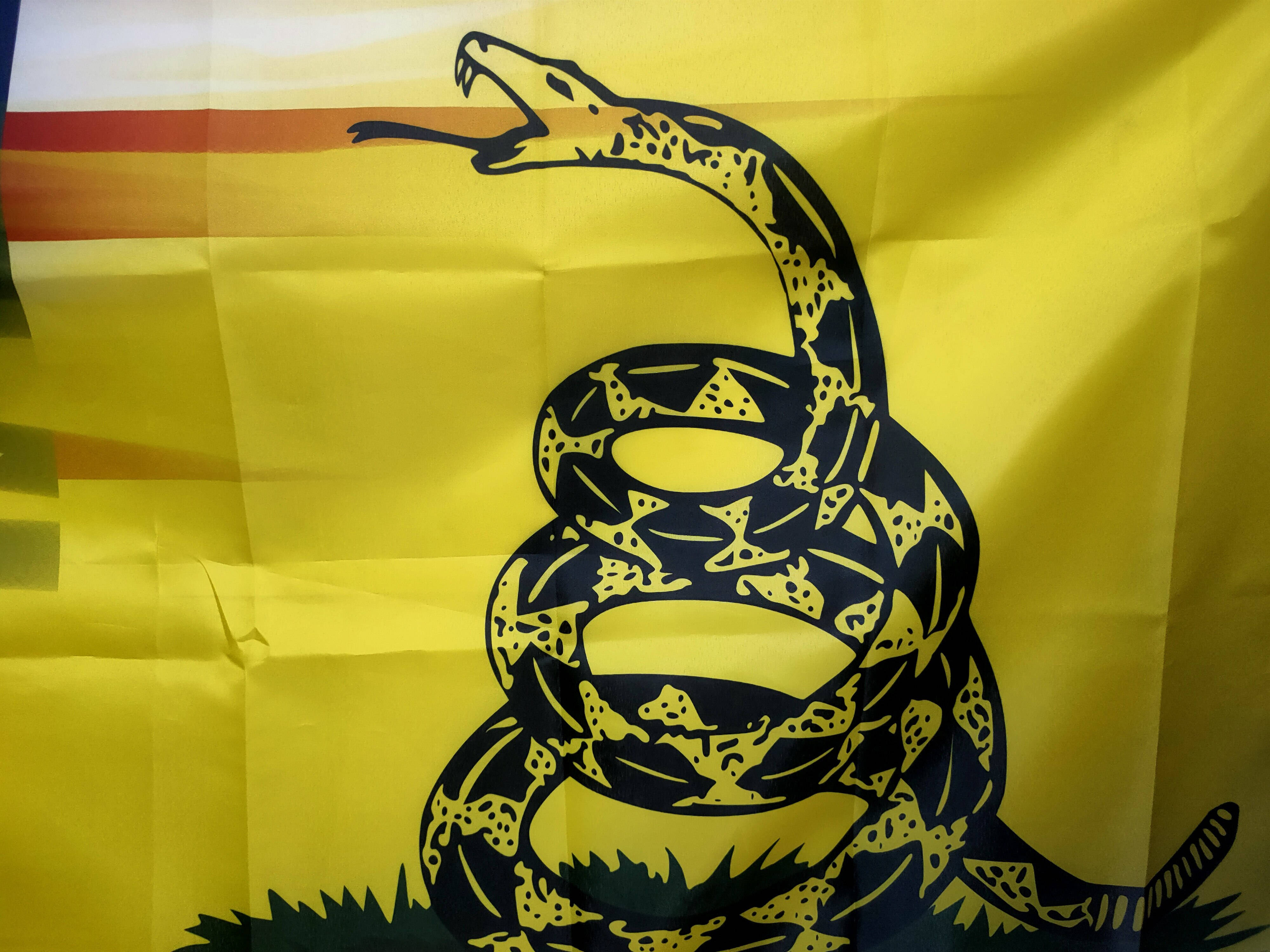 Gadsden Flag, yellow flag, black coiled snake, 4K Desktop Wallpaper