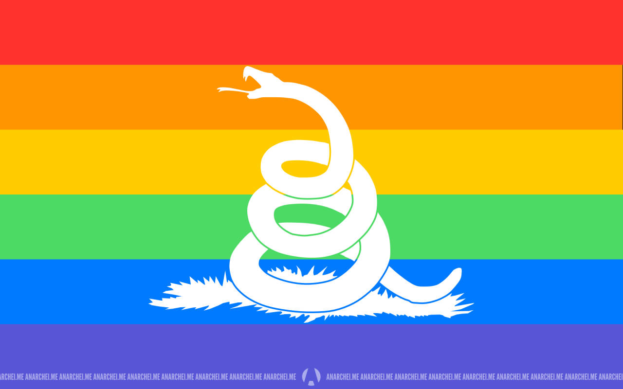 Gadsden Flag, rainbow flag, white coiled snake, HD Desktop Wallpaper