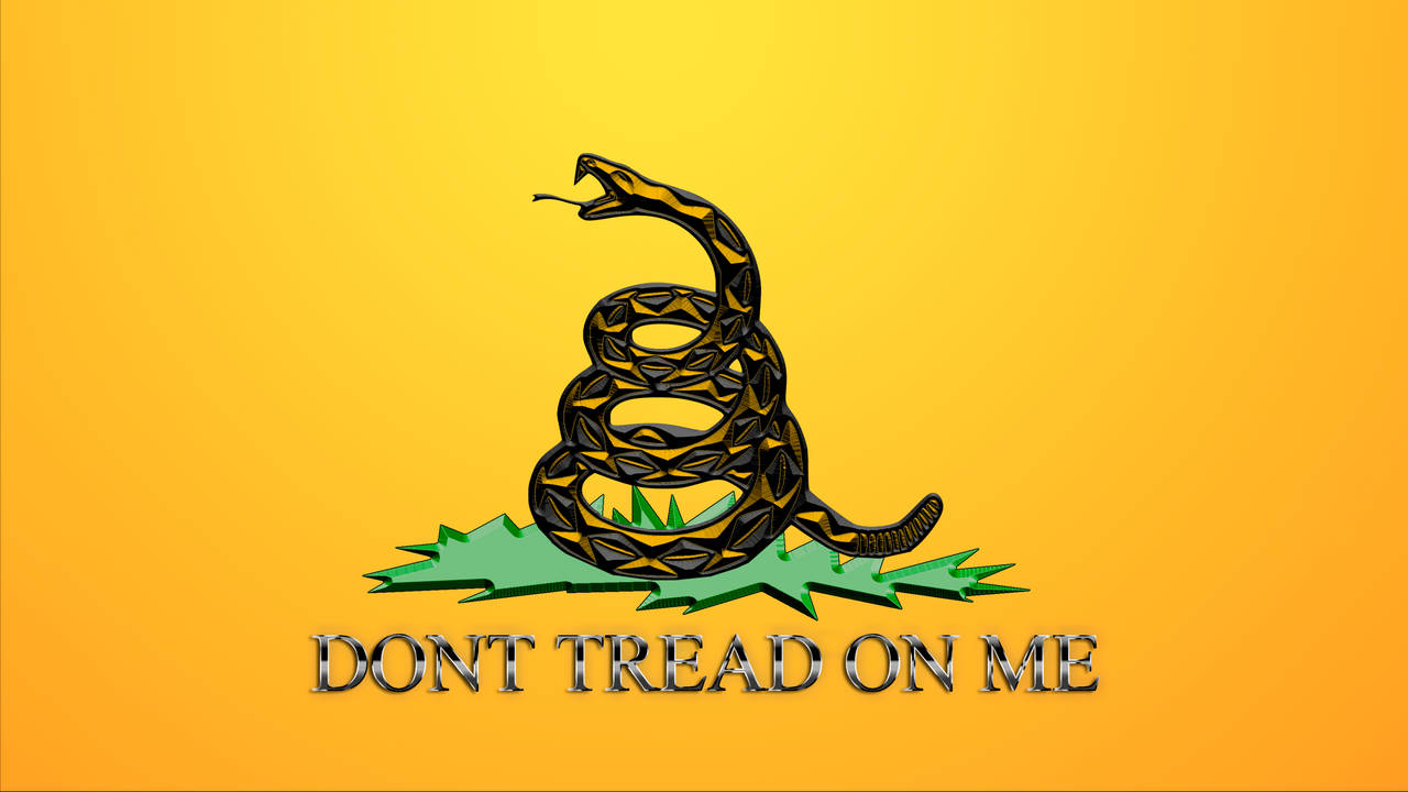 Gadsden Flag, coiled black snake, yellow rattlesnake, HD Desktop Wallpaper