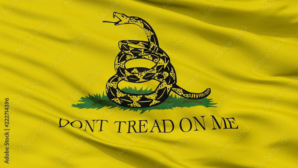 Gadsden Flag, yellow flag, coiled black and yellow snake, SD Desktop Wallpaper
