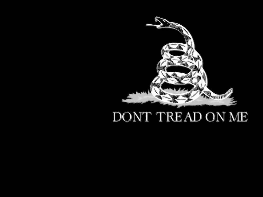 Gadsden Flag, silver rattlesnake, open mouth, SD Desktop Wallpaper
