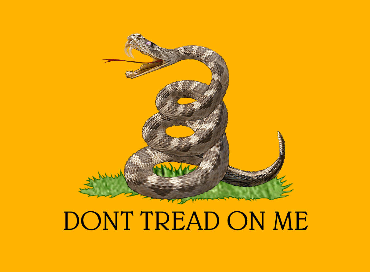 Gadsden Flag, orange canvas, coiled rattlesnake, SD Desktop Wallpaper