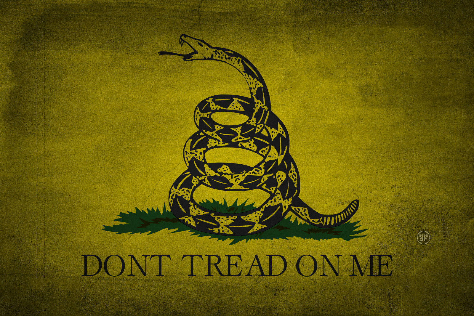 Gadsden Flag, black rattlesnake, green grass, HD Desktop Wallpaper