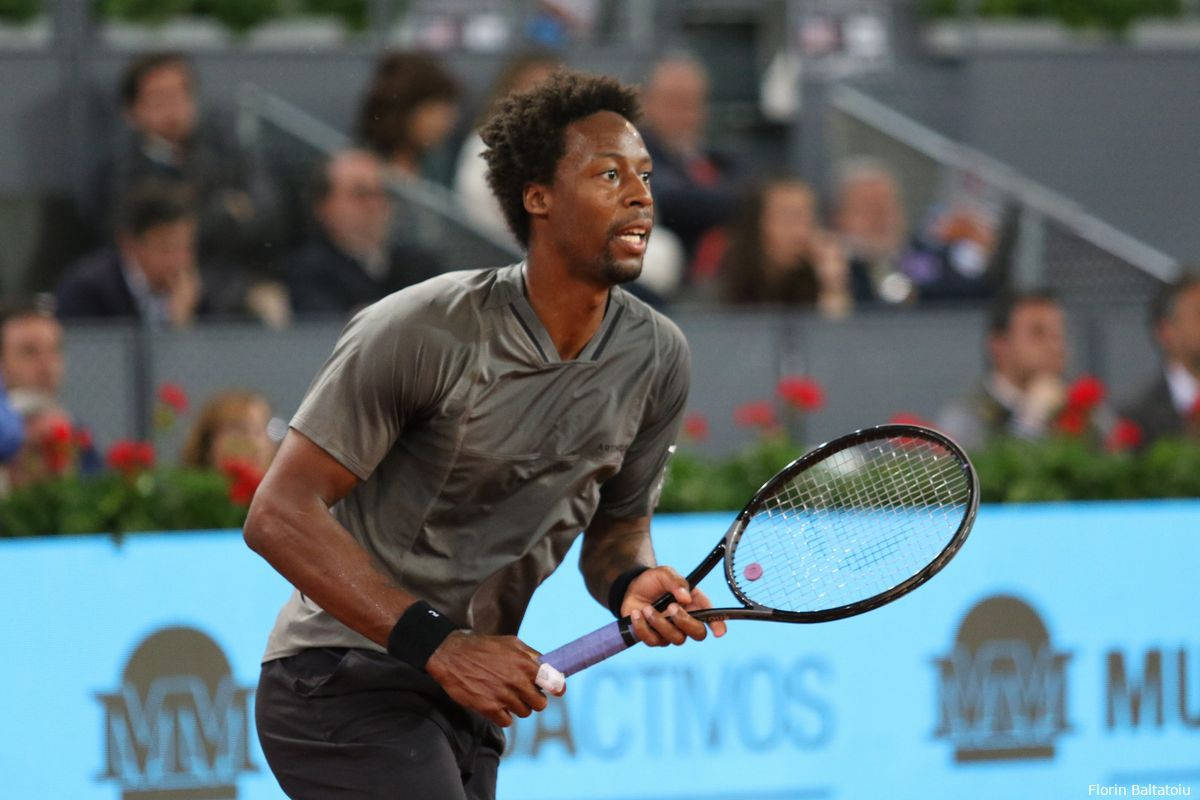 Gael Monfils, gray shirt, tennis player, SD Desktop Wallpaper