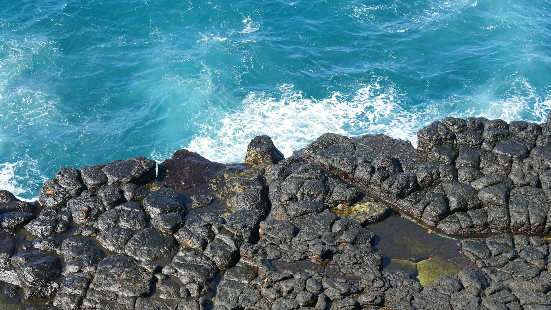 Galapagos Islands, volcanic rocks, turquoise sea, Full HD Desktop Wallpaper