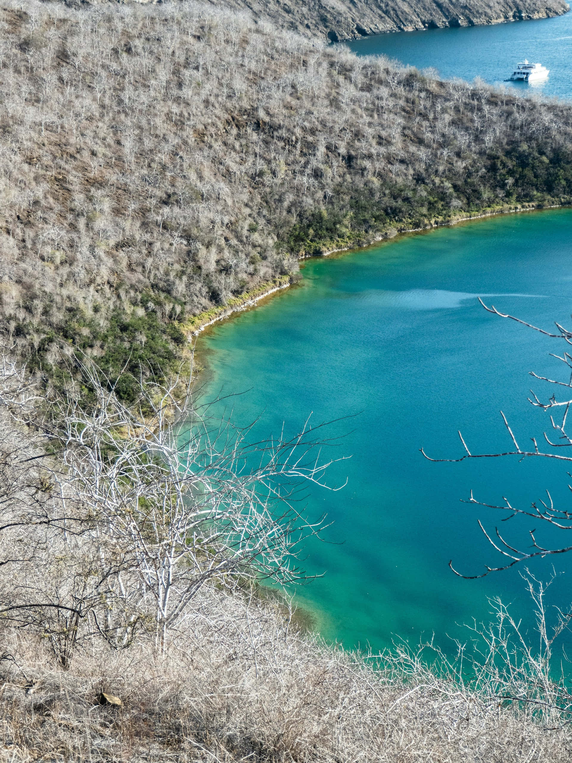 Galapagos, turquoise bay, dry scrub-covered hills, 2K Phone Wallpaper