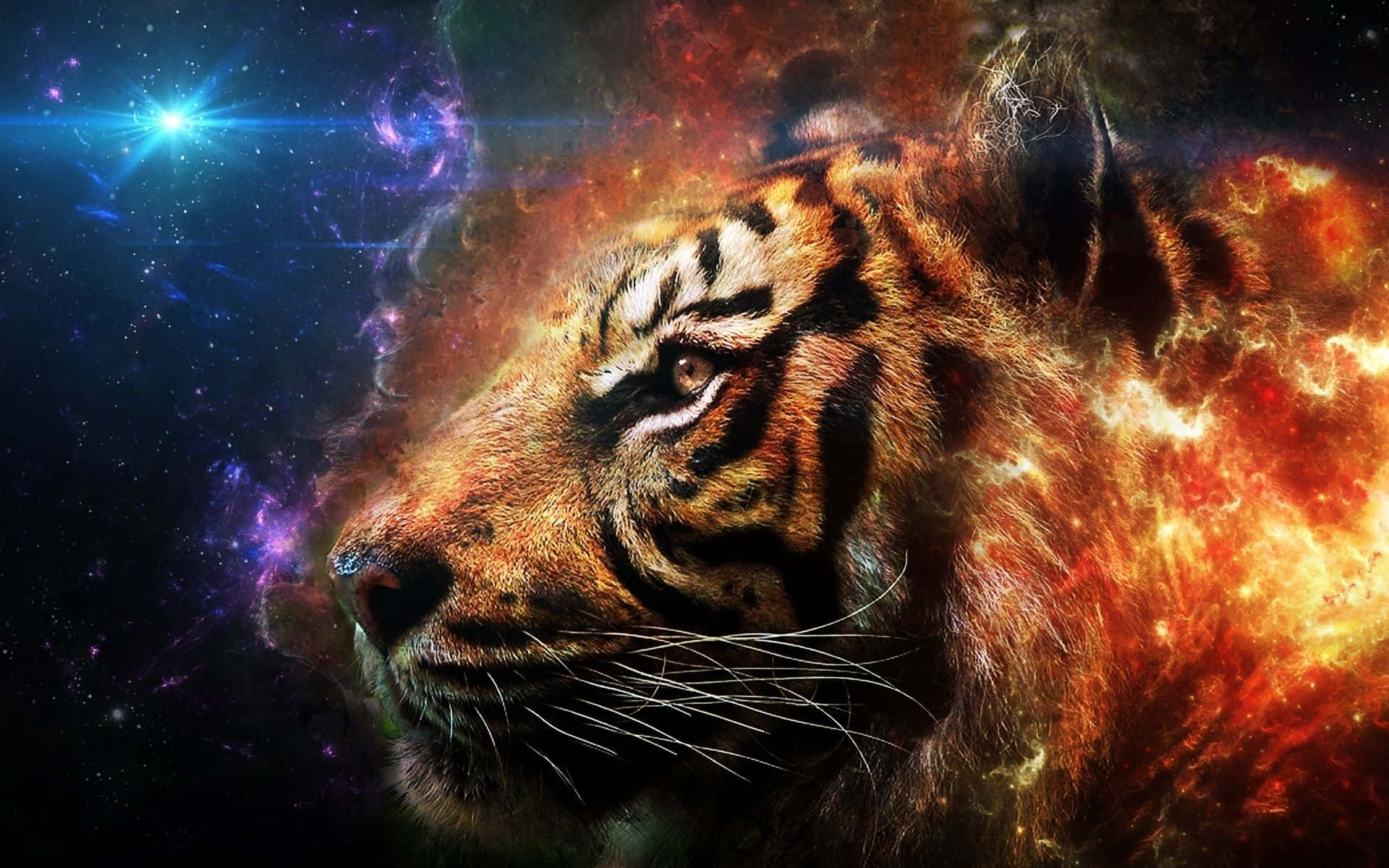 galaxy artwork, tiger's head, fiery cosmic clouds, Full HD Desktop Wallpaper