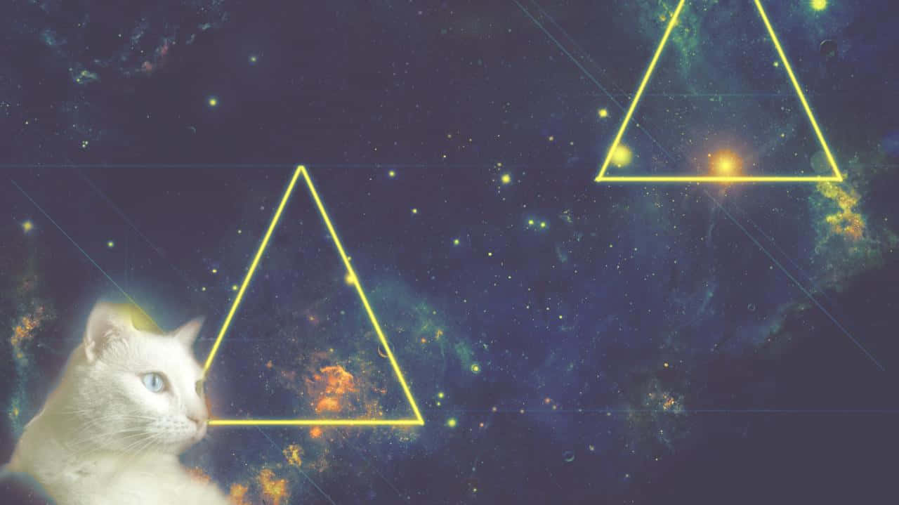 Galaxy Cat, cosmic backdrop, glowing yellow triangles, HD Desktop Wallpaper
