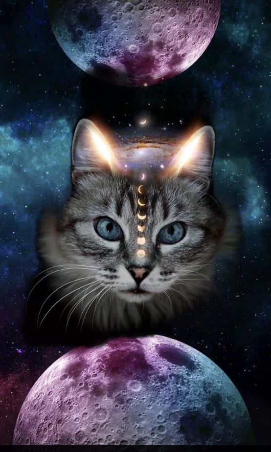 Galaxy Cat, glowing blue eyes, cosmic moon, SD Phone Wallpaper
