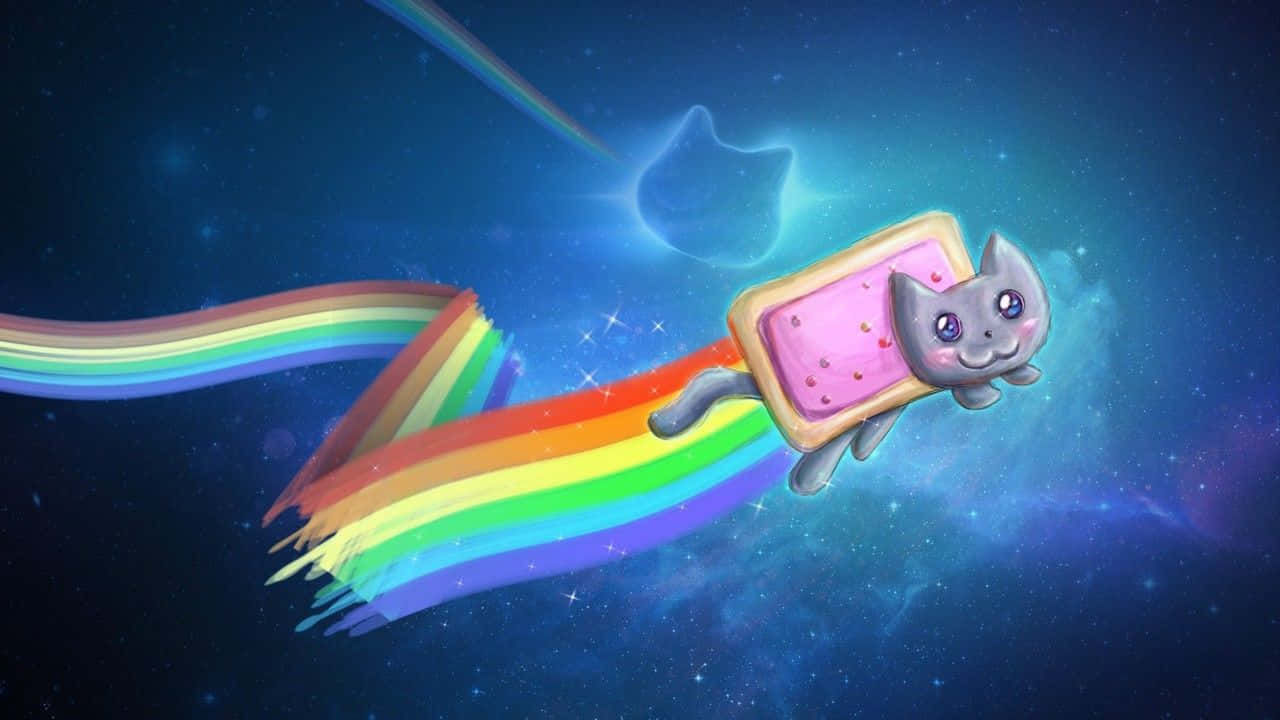 Galaxy Cat, gray cat, pink frosted cookie body, HD Desktop Wallpaper