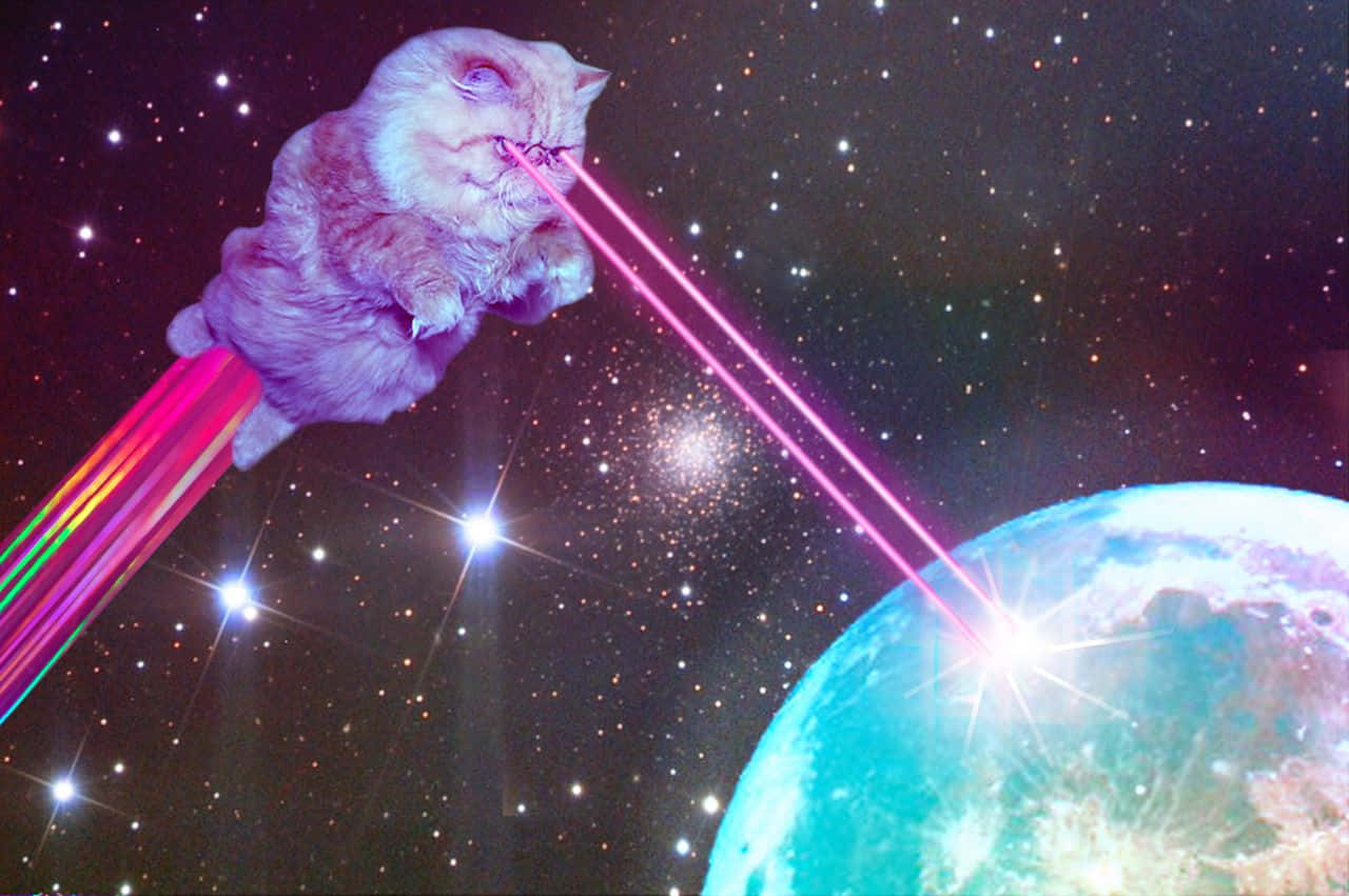 Galaxy Cat, glowing pink lasers, rainbow rocket, HD Desktop Wallpaper