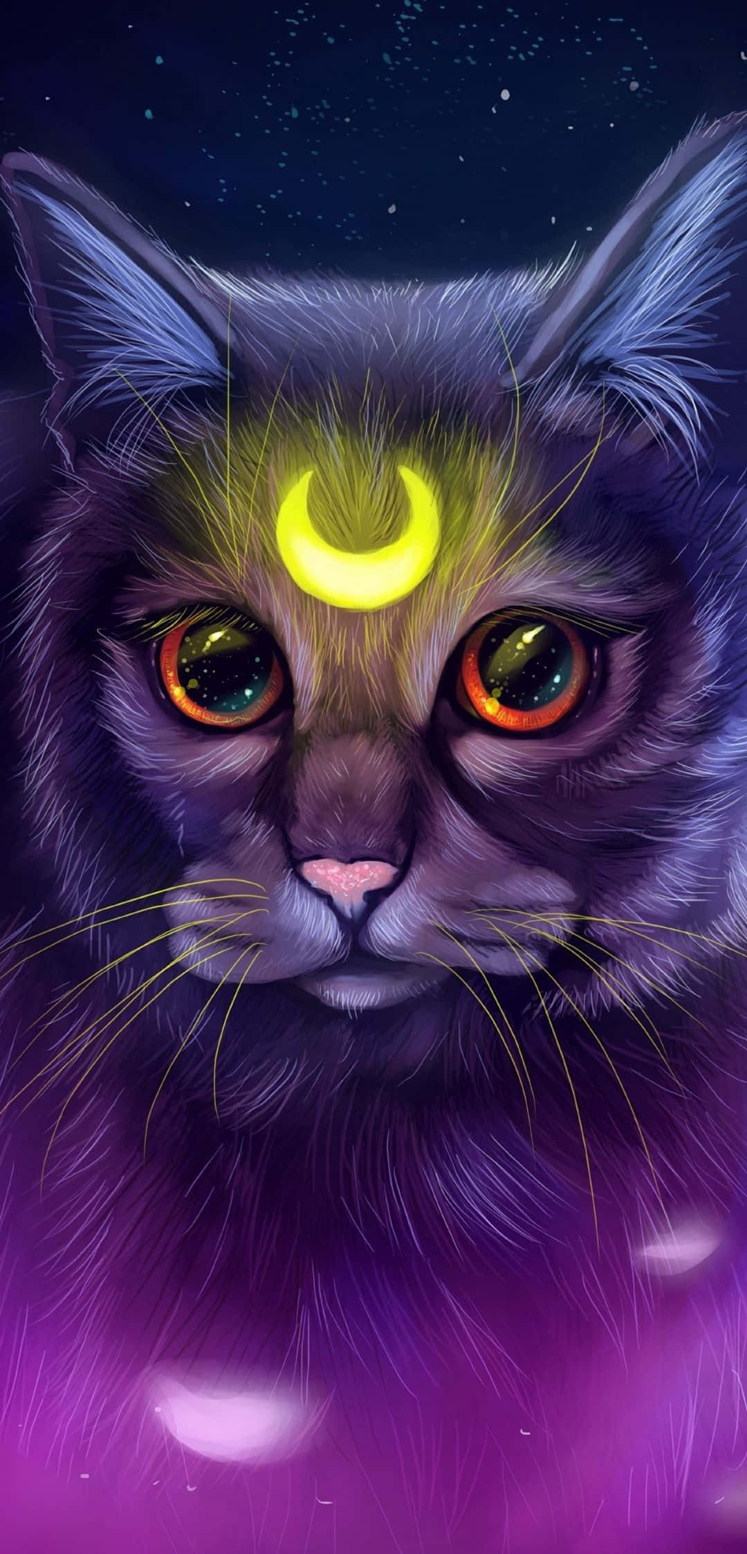 Galaxy Cat, glowing orange eyes, crescent moon, Full HD Phone Wallpaper