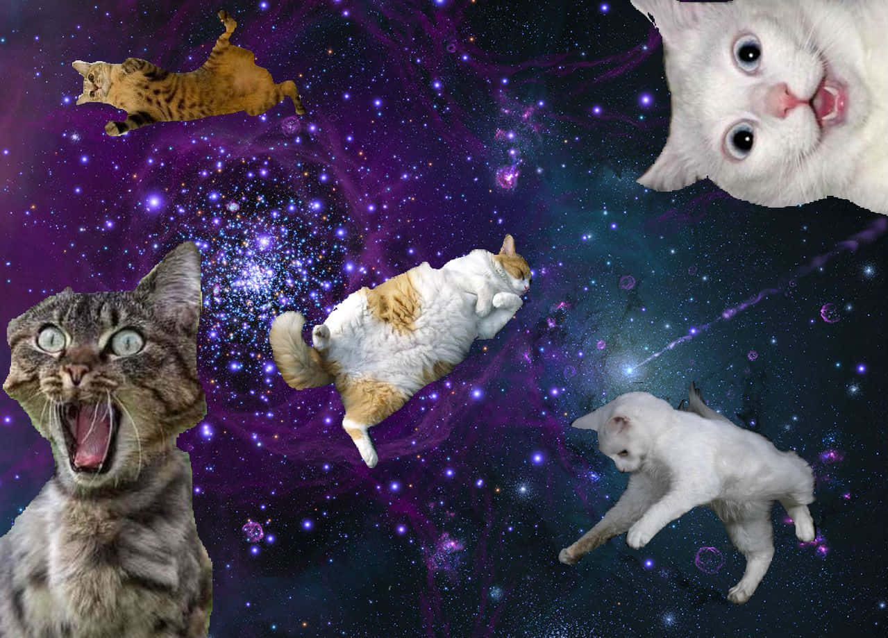 Galaxy Cat, vibrant purple starfield, glowing cosmic dust, SD Desktop Wallpaper