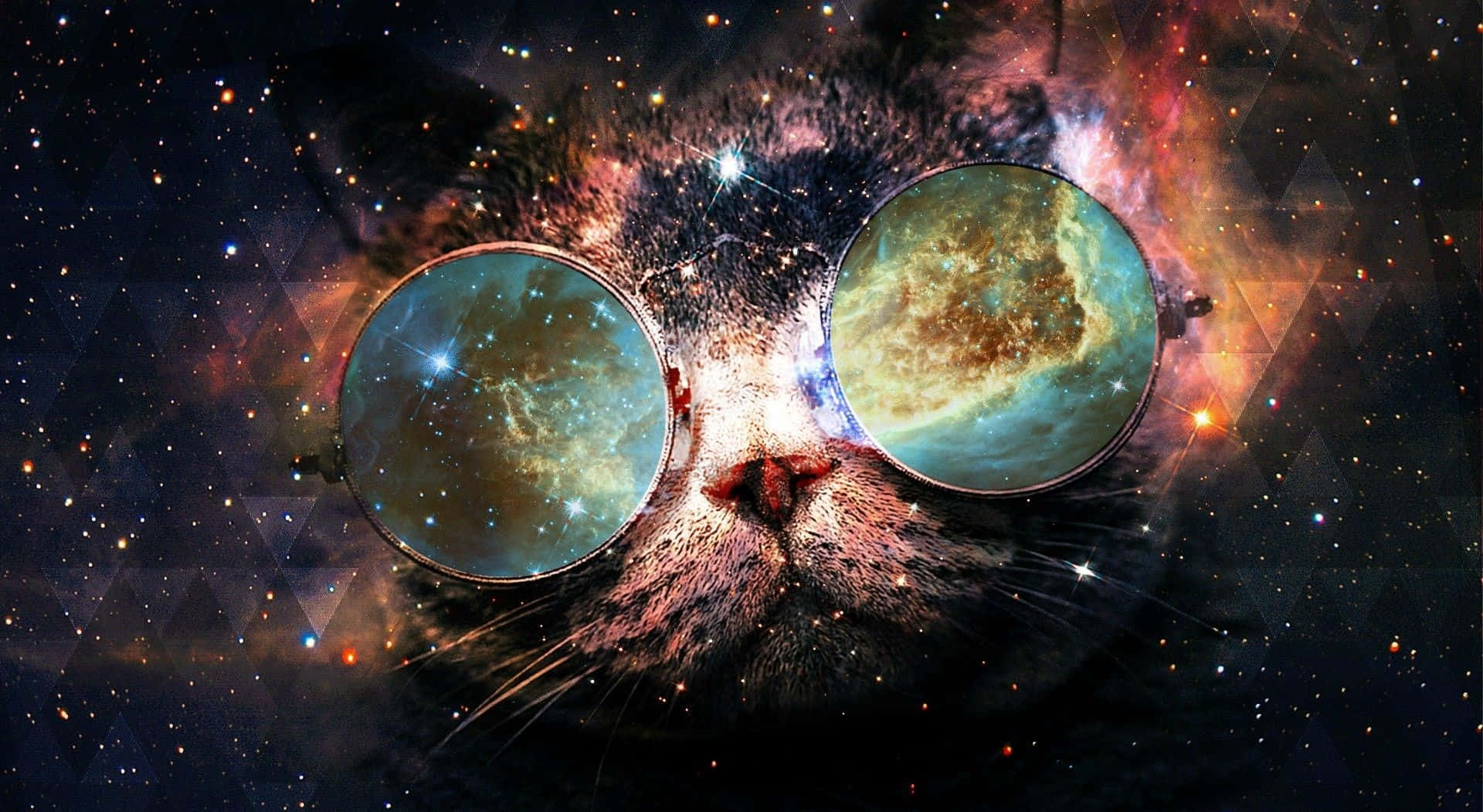 Galaxy Cat, nebulae, starry galaxy background, Full HD Desktop Wallpaper