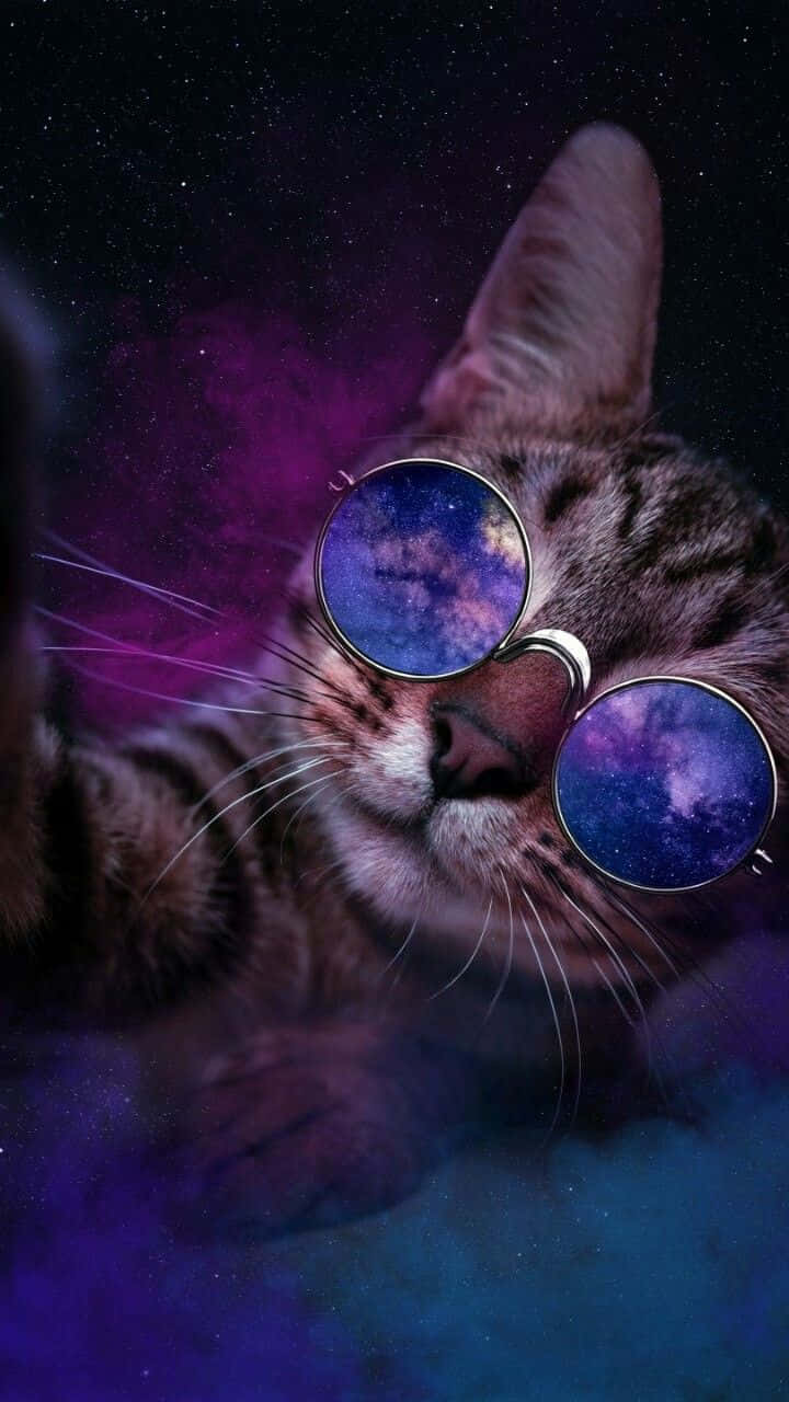 Galaxy Cat, tabby cat, round sunglasses, HD Phone Wallpaper