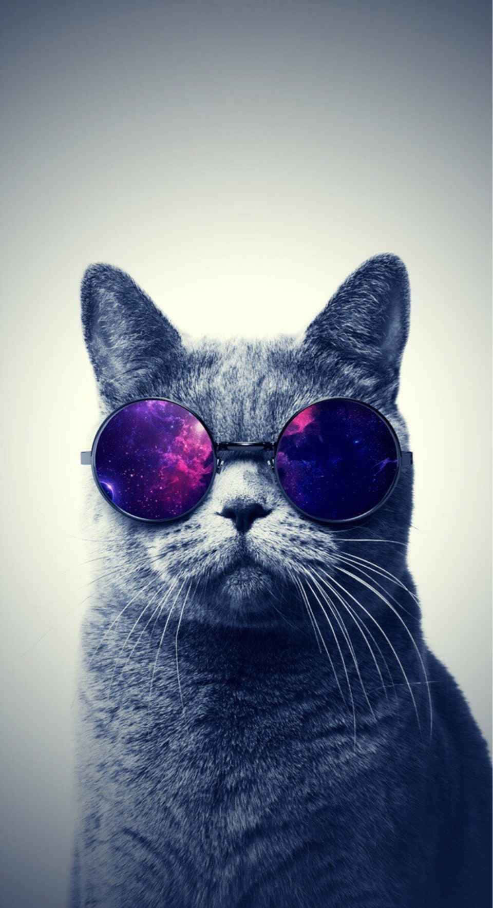 Galaxy Cat, gray cat, round sunglasses, HD Phone Wallpaper