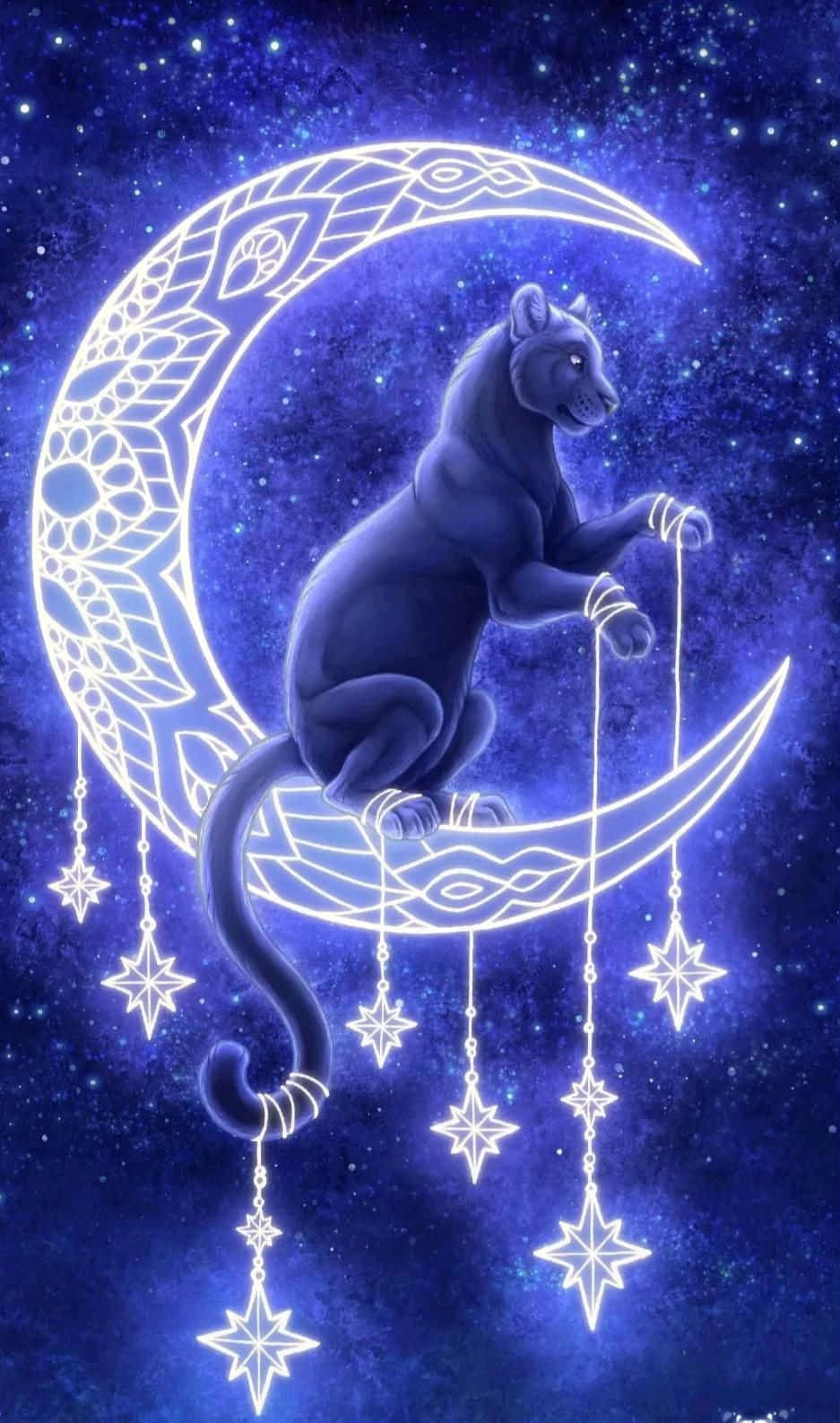 Galaxy Cat, black panther, glowing crescent moon, HD Phone Wallpaper